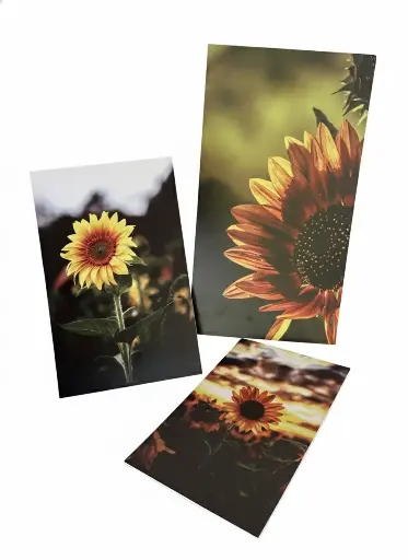 Tríptico Decorativo  – 3 Piezas en PVC Laminado en Vinilo